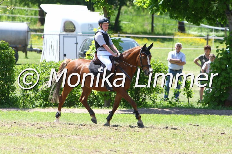 204M5792_Divinjo_Spring RWB.JPG